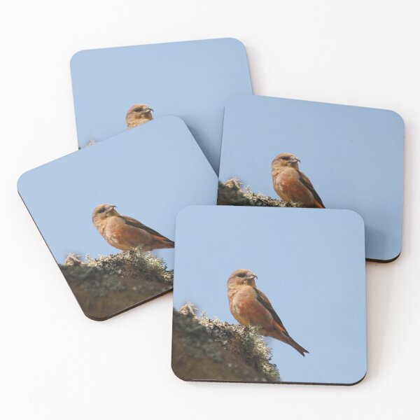 Item preview, Angry crossbill designed and sold by miradorpictures.