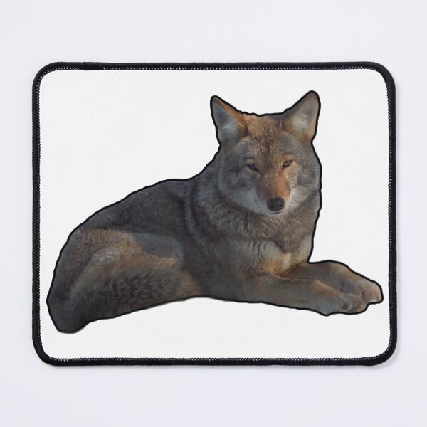 Item preview, Wolf Stare designed and sold by InventorsCave.
