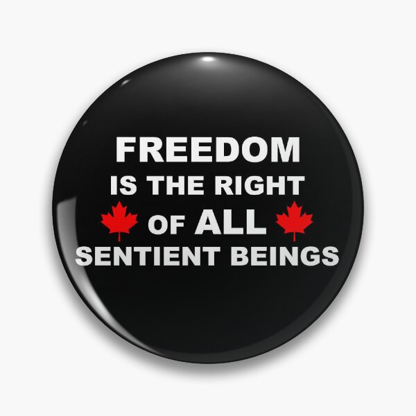 Aperçu de l'œuvre Copie de La liberté est le droit de tous les êtres sensibles - 2 créée et vendue par Magic-Designs.