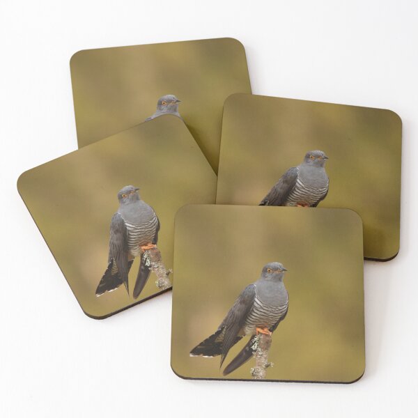 Item preview, Cuckoos rest designed and sold by miradorpictures.