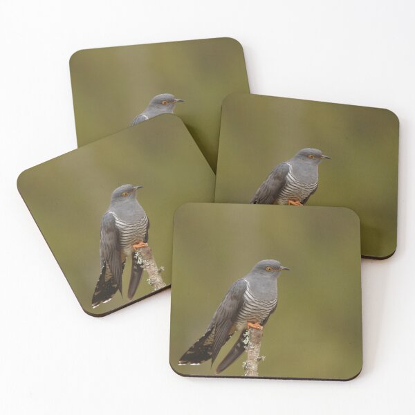 Item preview, Cuckoo corner designed and sold by miradorpictures.