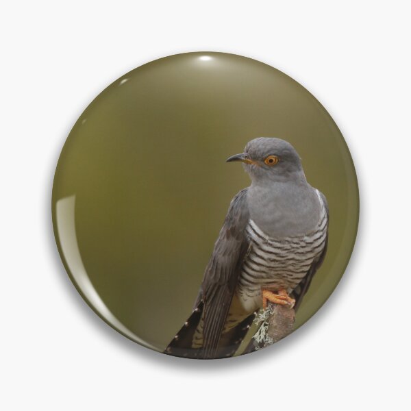 Item preview, Cuckoo calling designed and sold by miradorpictures.