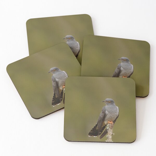 Item preview, Cuckoo calling designed and sold by miradorpictures.