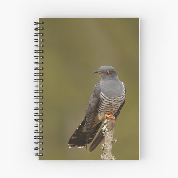 Item preview, Cuckoo calling designed and sold by miradorpictures.