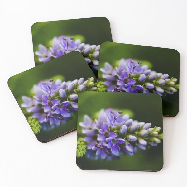 Item preview, P A T I E N C E  designed and sold by Michelle Lee Blatt.