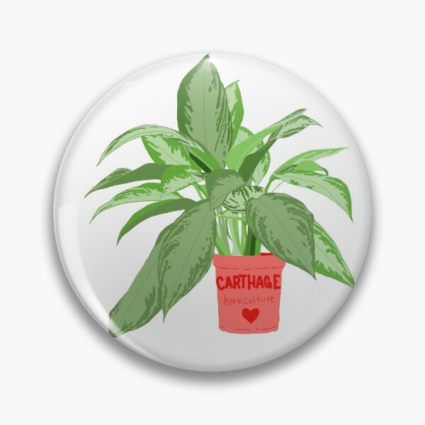 Item preview, Chinese Evergreen designed and sold by maryhelenn.