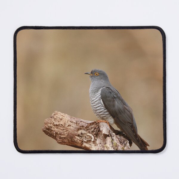 Item preview, Cuckoo corner designed and sold by miradorpictures.