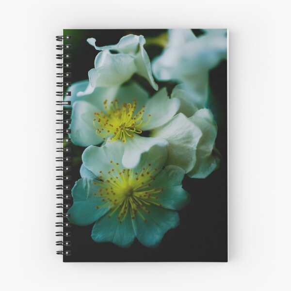 Item preview, CONTENTMENT designed and sold by Michelle Lee Blatt.