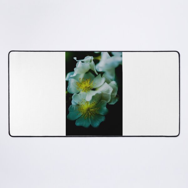 Item preview, CONTENTMENT designed and sold by Michelle Lee Blatt.