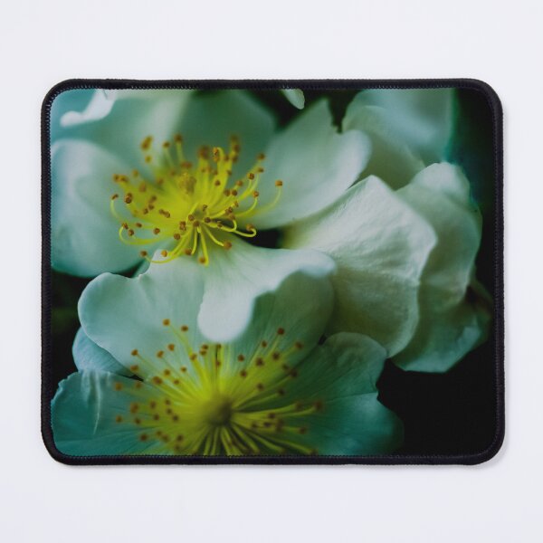 Item preview, CONTENTMENT designed and sold by Michelle Lee Blatt.
