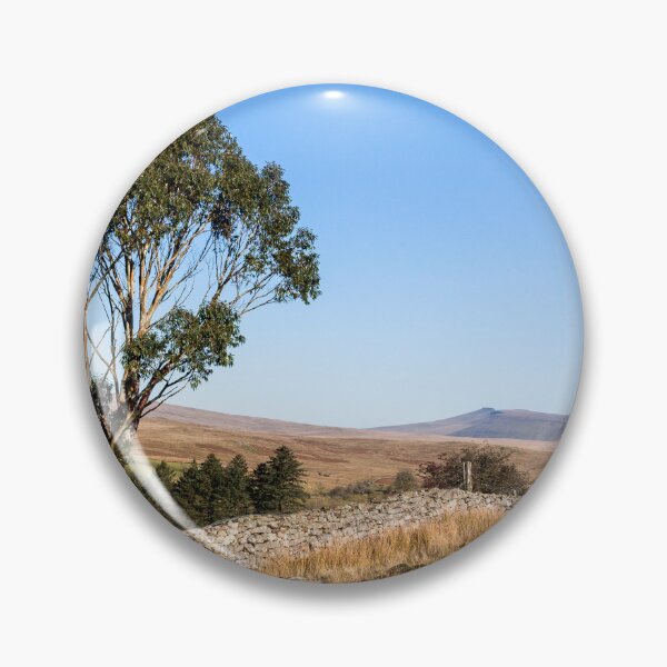Item preview, Eucalyptus Tree Brecon Beacons  designed and sold by heidipics.