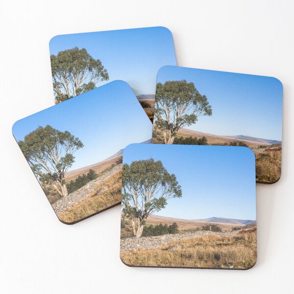 Item preview, Eucalyptus Tree Brecon Beacons  designed and sold by heidipics.
