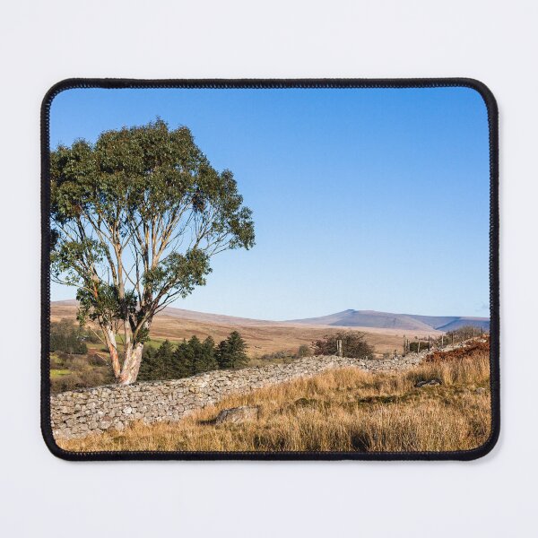 Item preview, Eucalyptus Tree Brecon Beacons designed and sold by heidipics.