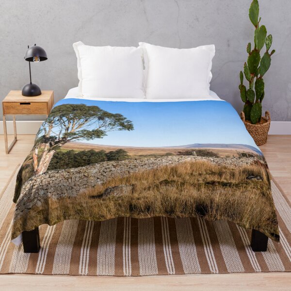 Item preview, Eucalyptus Tree Brecon Beacons  designed and sold by heidipics.