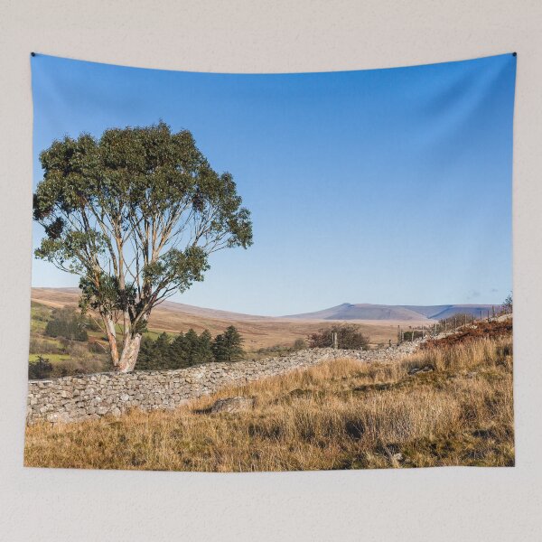Item preview, Eucalyptus Tree Brecon Beacons  designed and sold by heidipics.