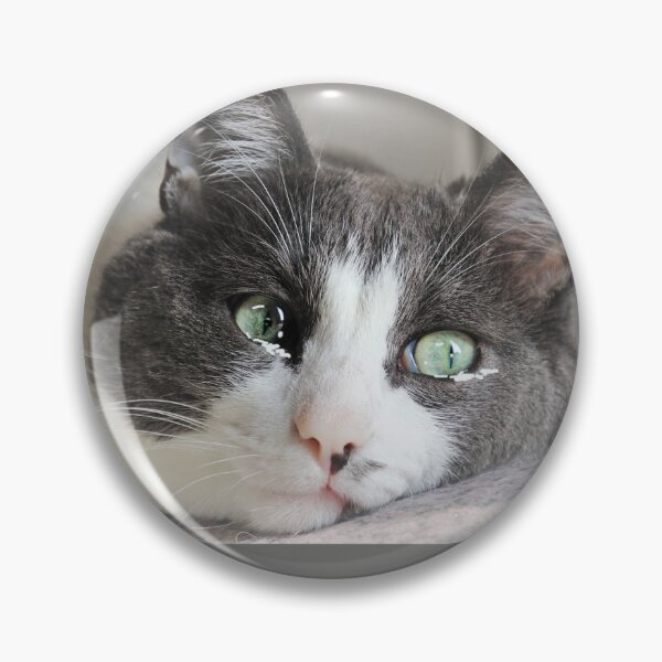 Item preview, Teary Eyed Cat Meme, Sad Cat for Catlovers and Birthdays designed and sold by DiensDesign.