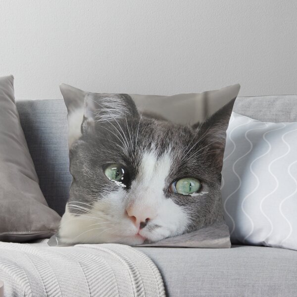 Item preview, Teary Eyed Cat Meme, Sad Cat for Catlovers and Birthdays designed and sold by DiensDesign.