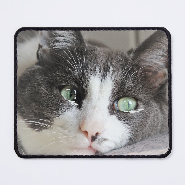 Item preview, Teary Eyed Cat Meme, Sad Cat for Catlovers and Birthdays designed and sold by DiensDesign.
