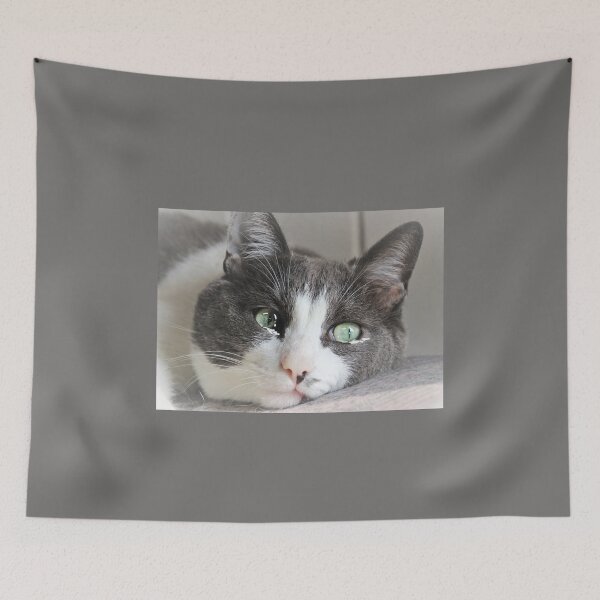 Item preview, Teary Eyed Cat Meme, Sad Cat for Catlovers and Birthdays designed and sold by DiensDesign.