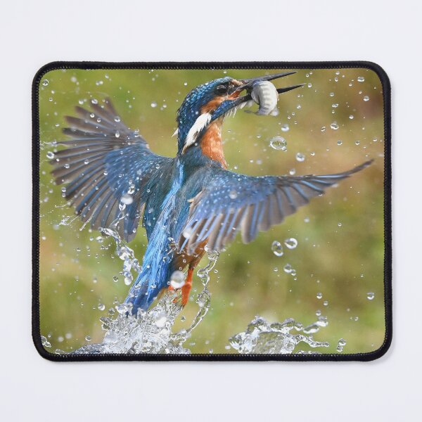 Item preview, Gotcha! designed and sold by Helen Walker.