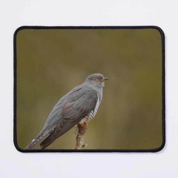 Item preview, A Cuckoo calls designed and sold by miradorpictures.