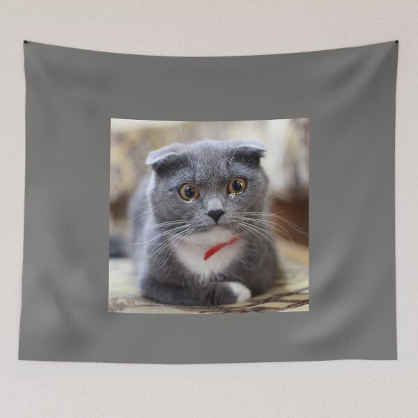 Item preview, Teary Eyed Cat Meme, Crying Cat designed and sold by DiensDesign.