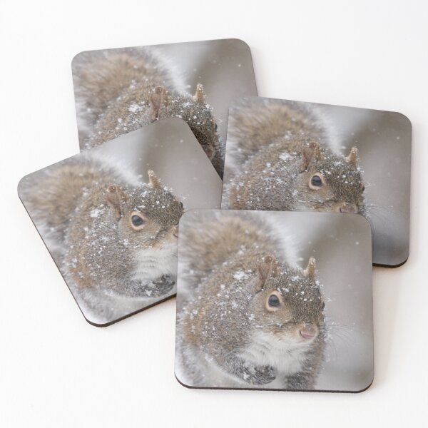 Item preview, Squirrel designed and sold by MelKowasic.