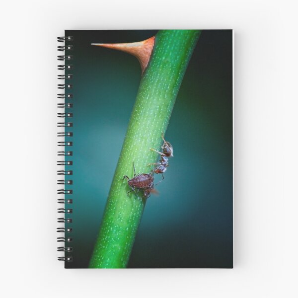 Item preview, The Ant and the Aphid designed and sold by Sara Sadler.