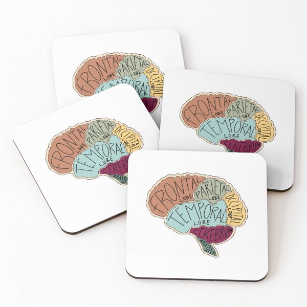 Item preview, Brain Labeled designed and sold by Ruth & Willow Co.