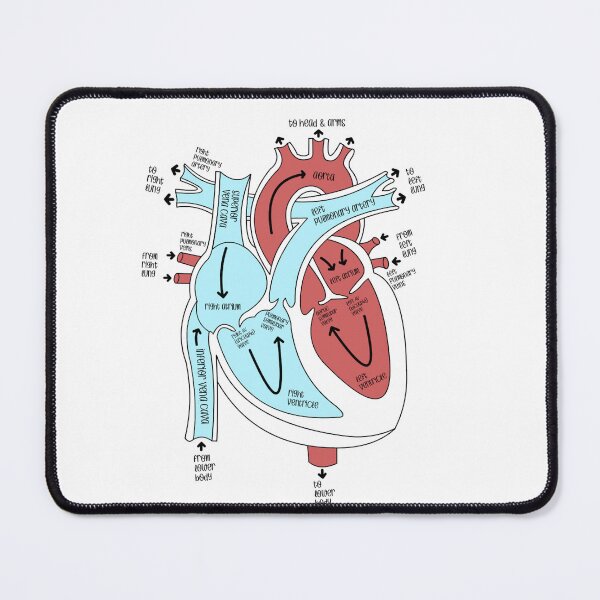 Item preview, Heart Labeled designed and sold by Ruth & Willow Co.