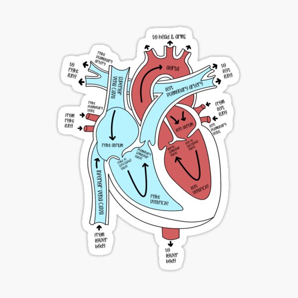 Item preview, Heart Labeled designed and sold by Megan Snider.