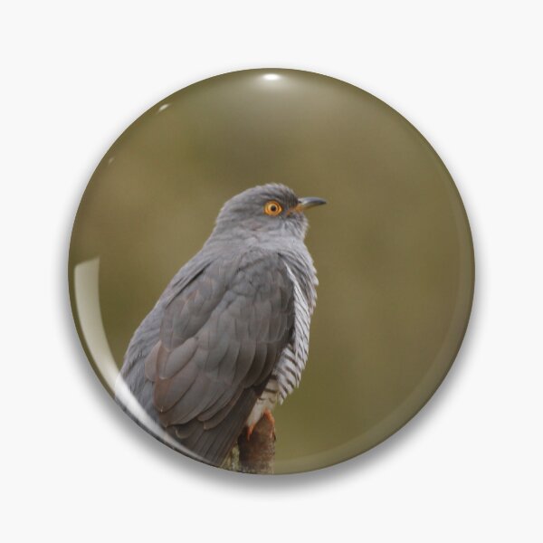 Item preview, The cuckoo in the nest designed and sold by miradorpictures.