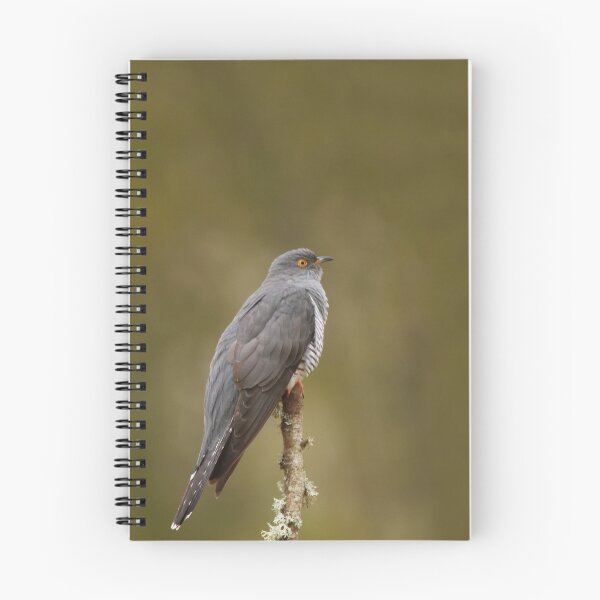 Item preview, The cuckoo in the nest designed and sold by miradorpictures.