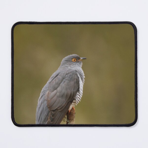 Item preview, The cuckoo in the nest designed and sold by miradorpictures.