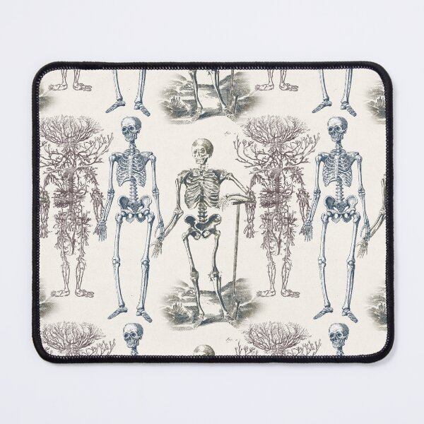 Item preview, Skeletons Antique Anatomy designed and sold by AntiqueImages.