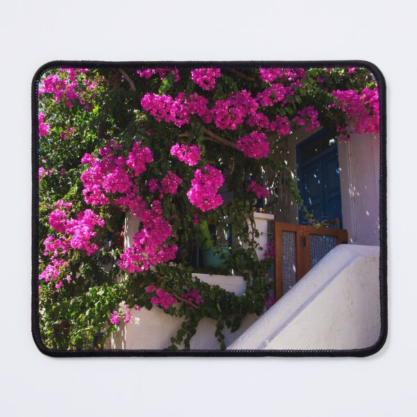 Artikelvorschau, Bougainvillea in einer Nimborio-Gasse entworfen und verkauft von tomg.