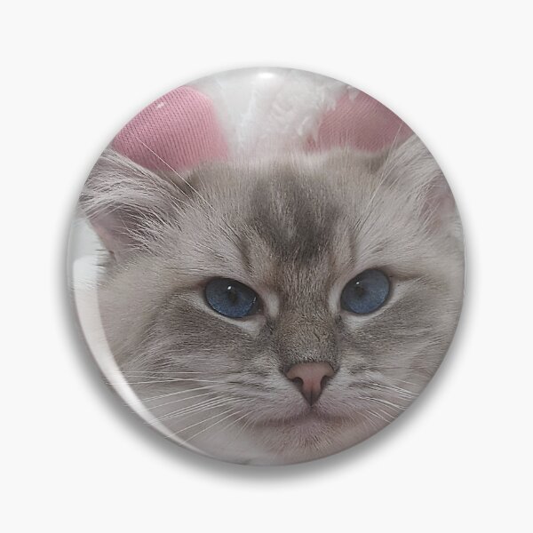 Item preview, Saoirse the sassy ragdoll cat designed and sold by Fluffycat2020.