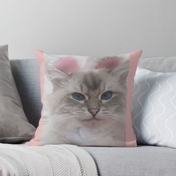 Item preview, Saoirse the sassy ragdoll cat designed and sold by Fluffycat2020.