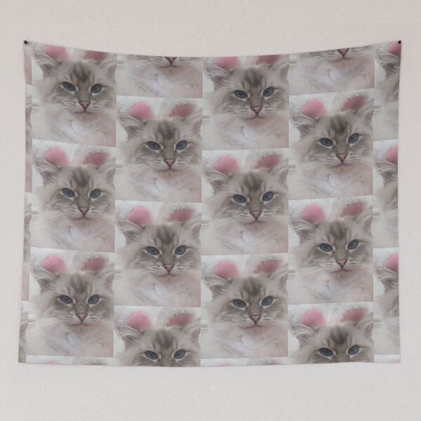 Item preview, Saoirse the sassy ragdoll cat designed and sold by Fluffycat2020.