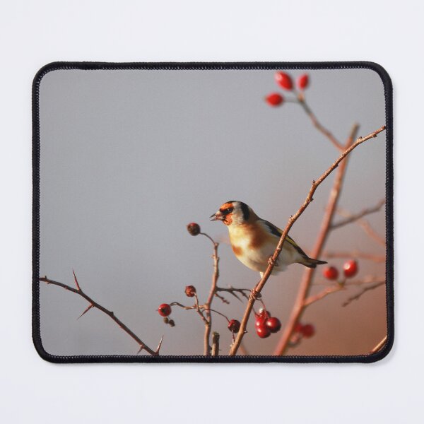 Item preview, Winter berries  designed and sold by miradorpictures.