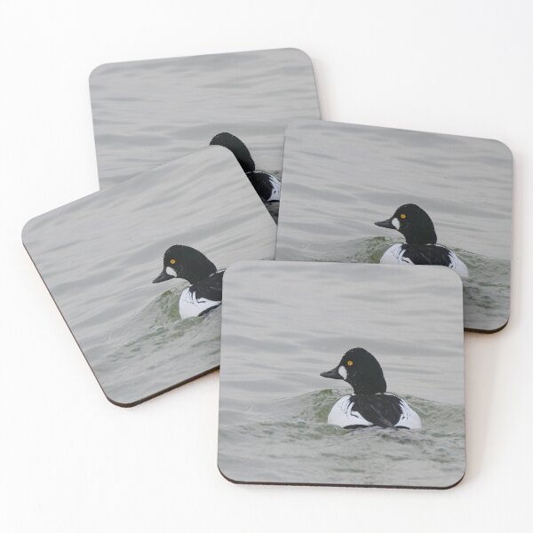 Item preview, Golden eye paddles away designed and sold by miradorpictures.