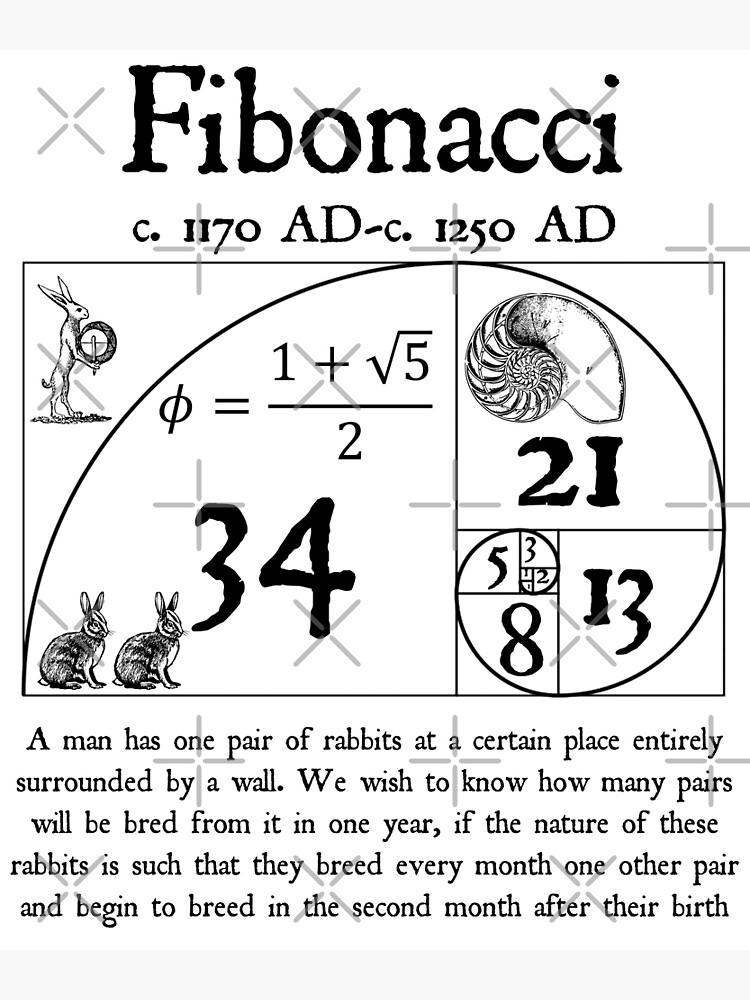 "Fibonacci Quote Rabbits Golden Spiral Vintage Math Design on Black