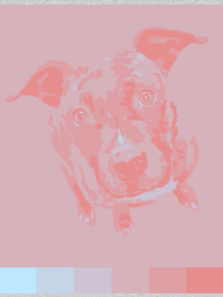 "Zara" Pullover Hoodie for Sale by wrathematics Redbubble