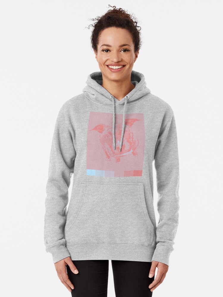 "Zara" Pullover Hoodie for Sale by wrathematics | Redbubble