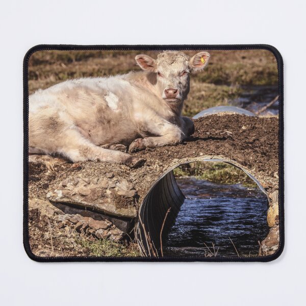Item preview, Calf On A Culvert designed and sold by Jim Love.
