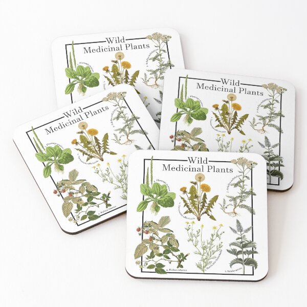 Item preview, Wild Medicinal Plants Botanical Print designed and sold by SubtleSoul.
