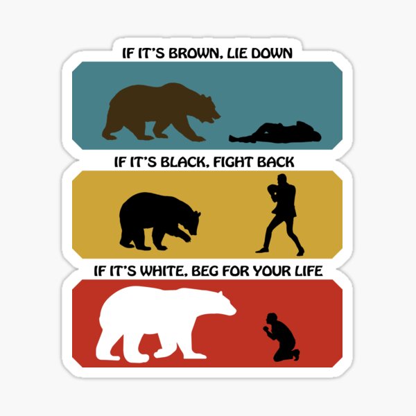 "Bear Safety" Sticker for Sale by Farragut | Redbubble