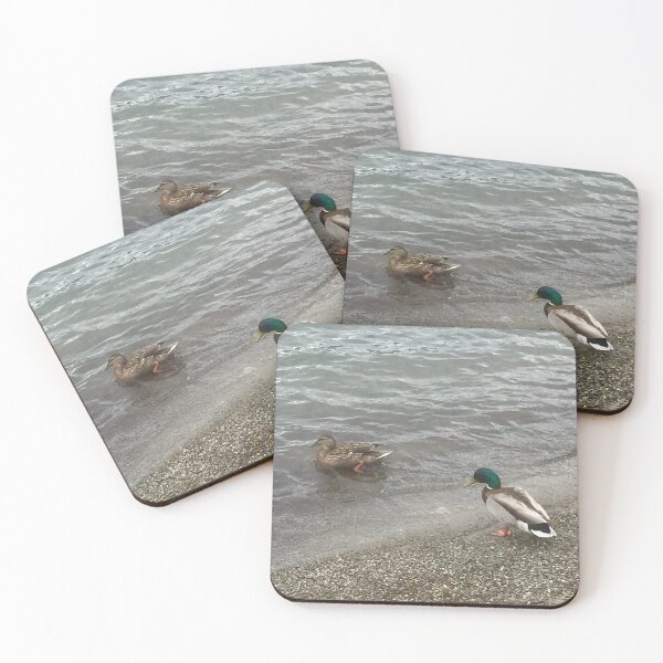 Item preview, Ducks designed and sold by ChelceyPaints.