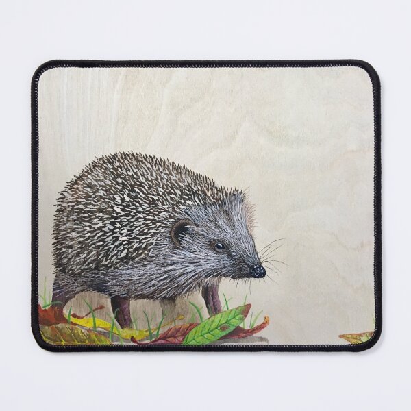 Item preview, Hedgehog designed and sold by TheArtery2010.