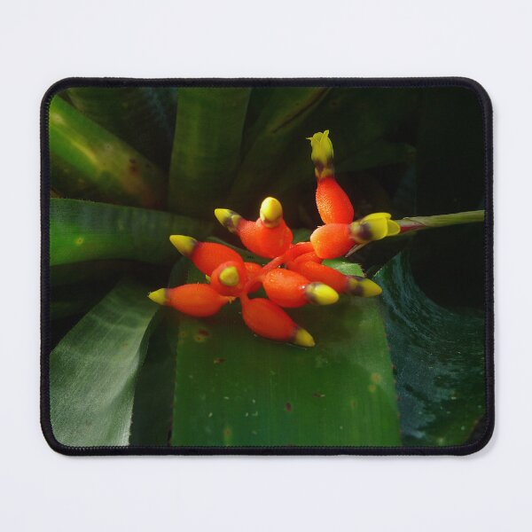 Item preview, This red and yellow flower brings joy! designed and sold by HFGjewels.